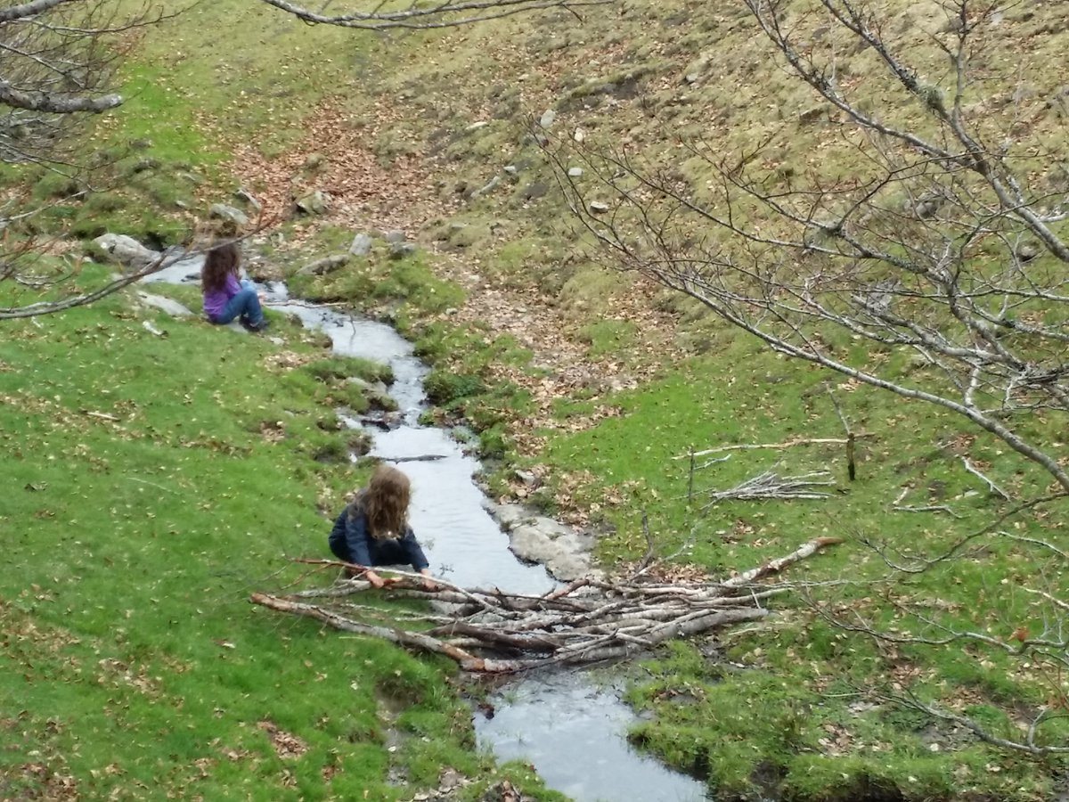 Axelle ᛉ tweet media