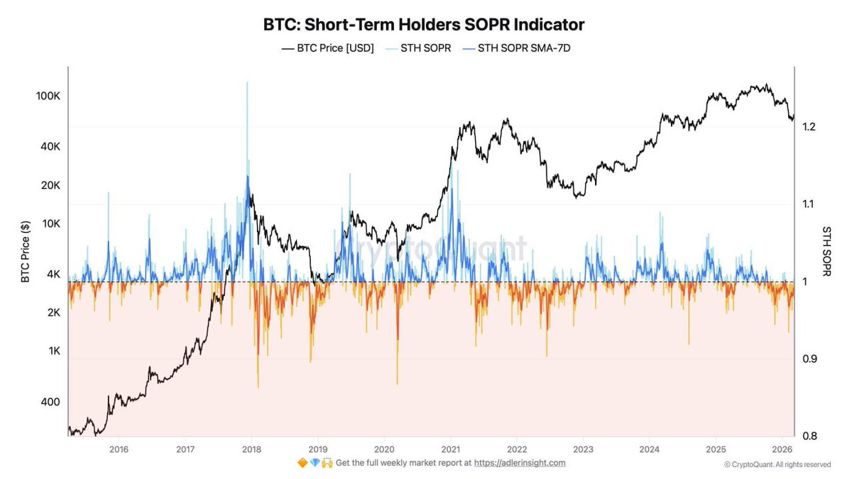 Tasso Lago tweet media
