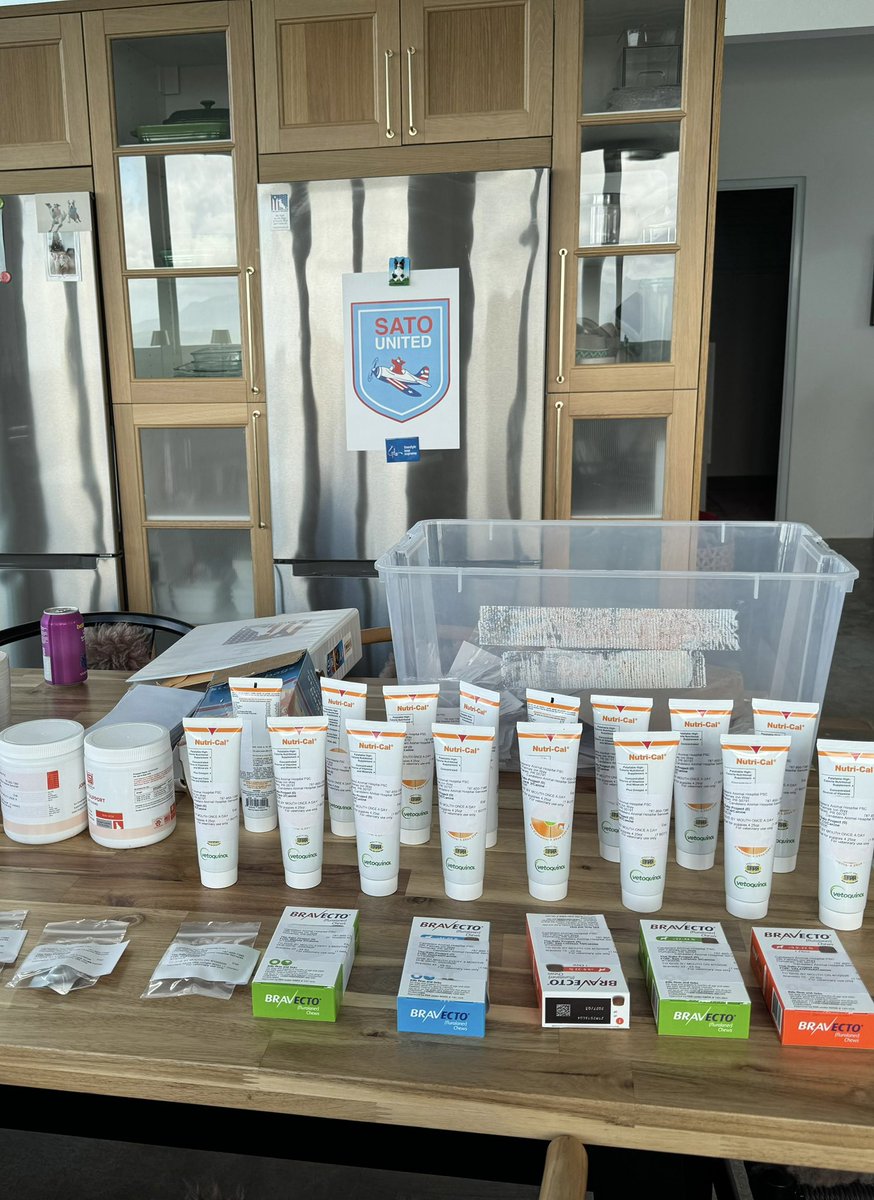 TheSatoProject tweet media