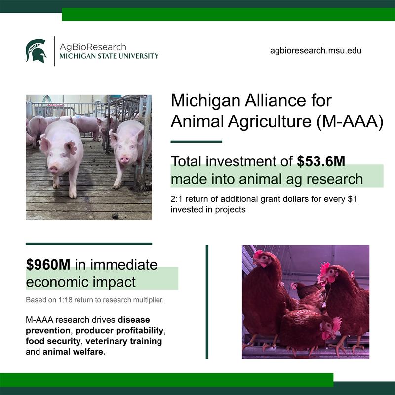 MSU AgBioResearch tweet media