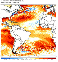 MIGUEL CAMPUSANO tweet media
