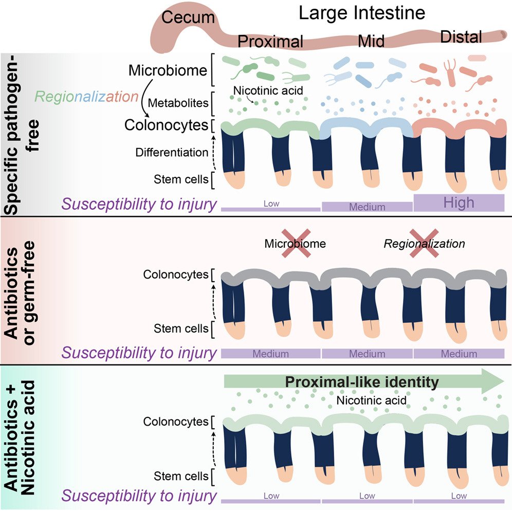 MicrobesInfect tweet media