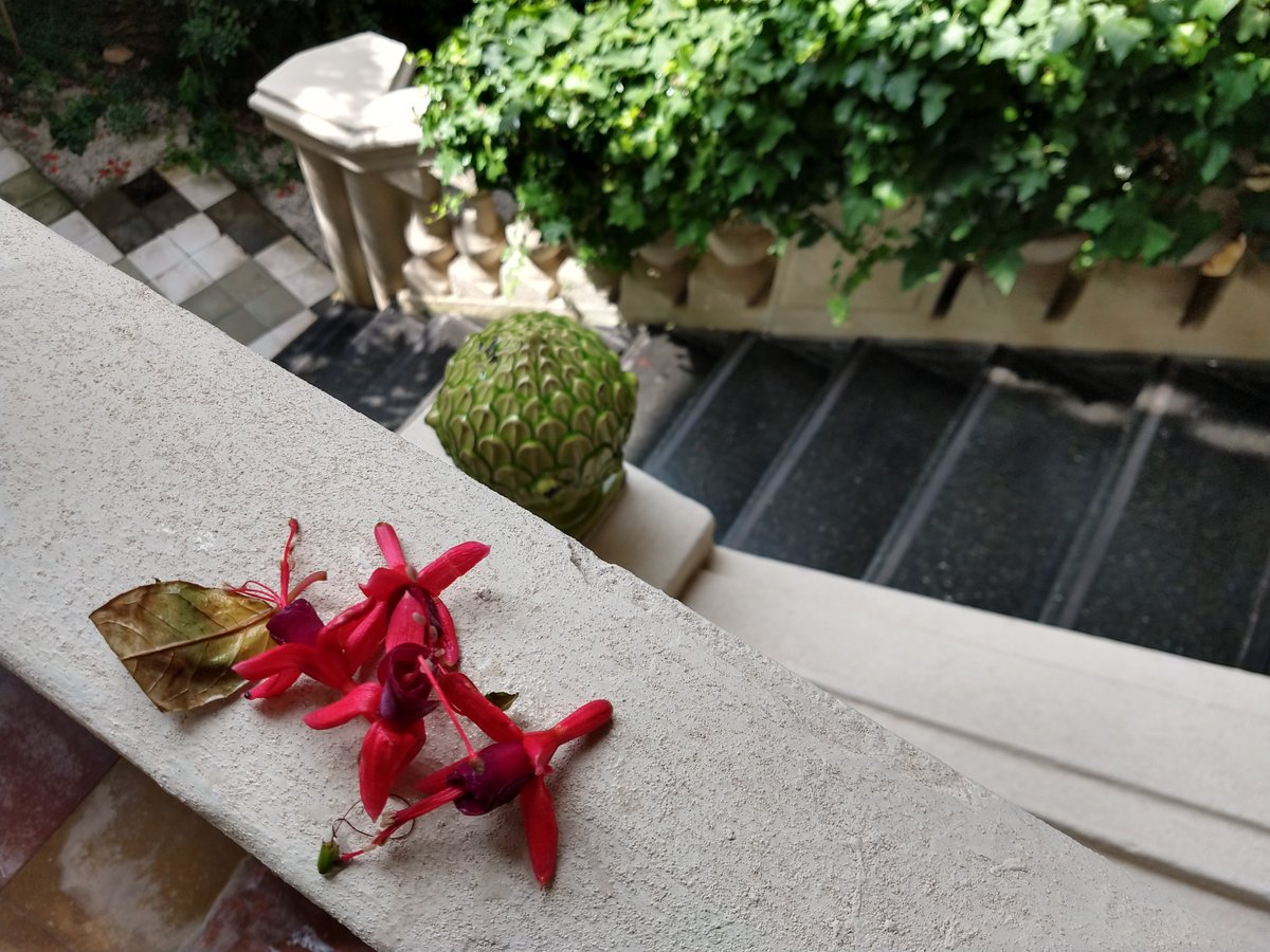 Viejo Hotel Ostende tweet media