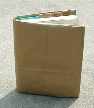 Sean Dineen tweet media