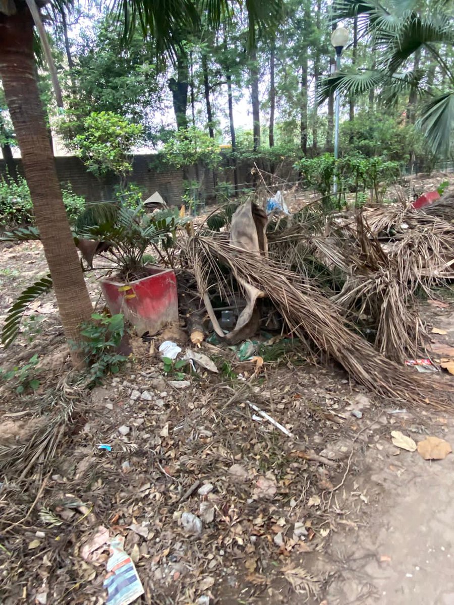 pbarot07's tweet photo. Adding more pictures! Hearbreaking to see this park in such condition! 

#zerocivicsense too! https://t.co/Fq2hBSlCJ6
