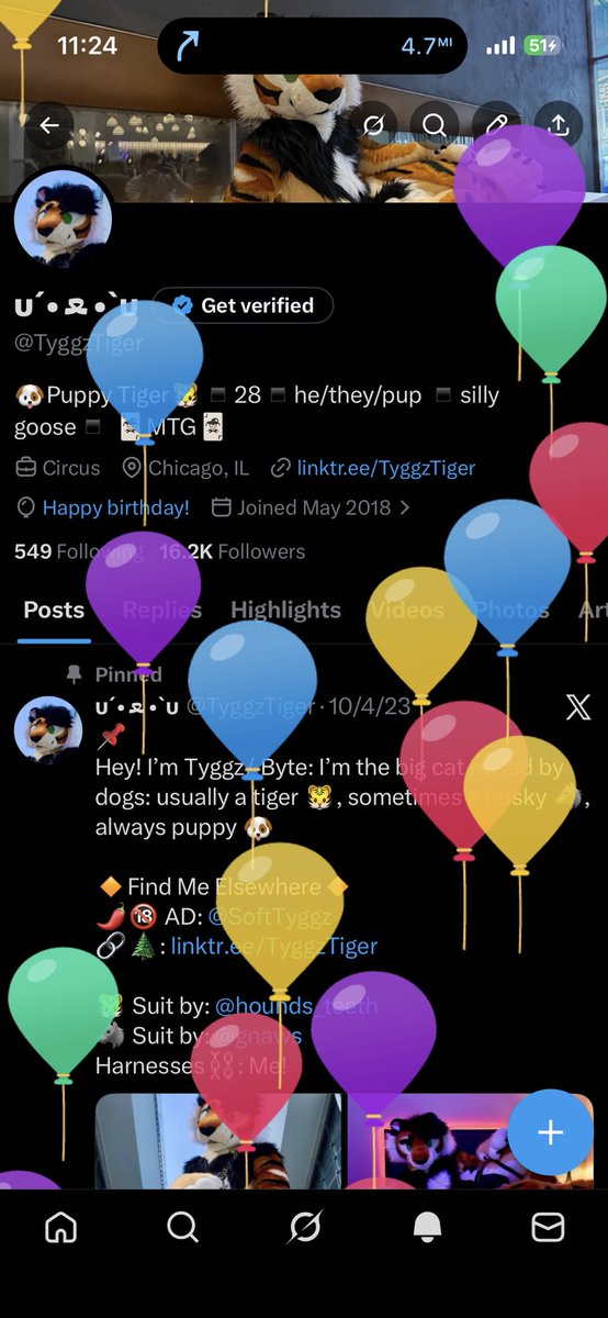 υ´• ﻌ •`υ tweet media