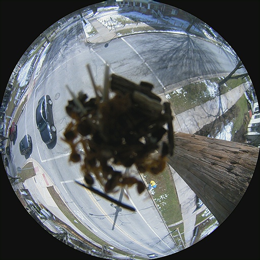 Unsecured CCTV Cameras tweet media