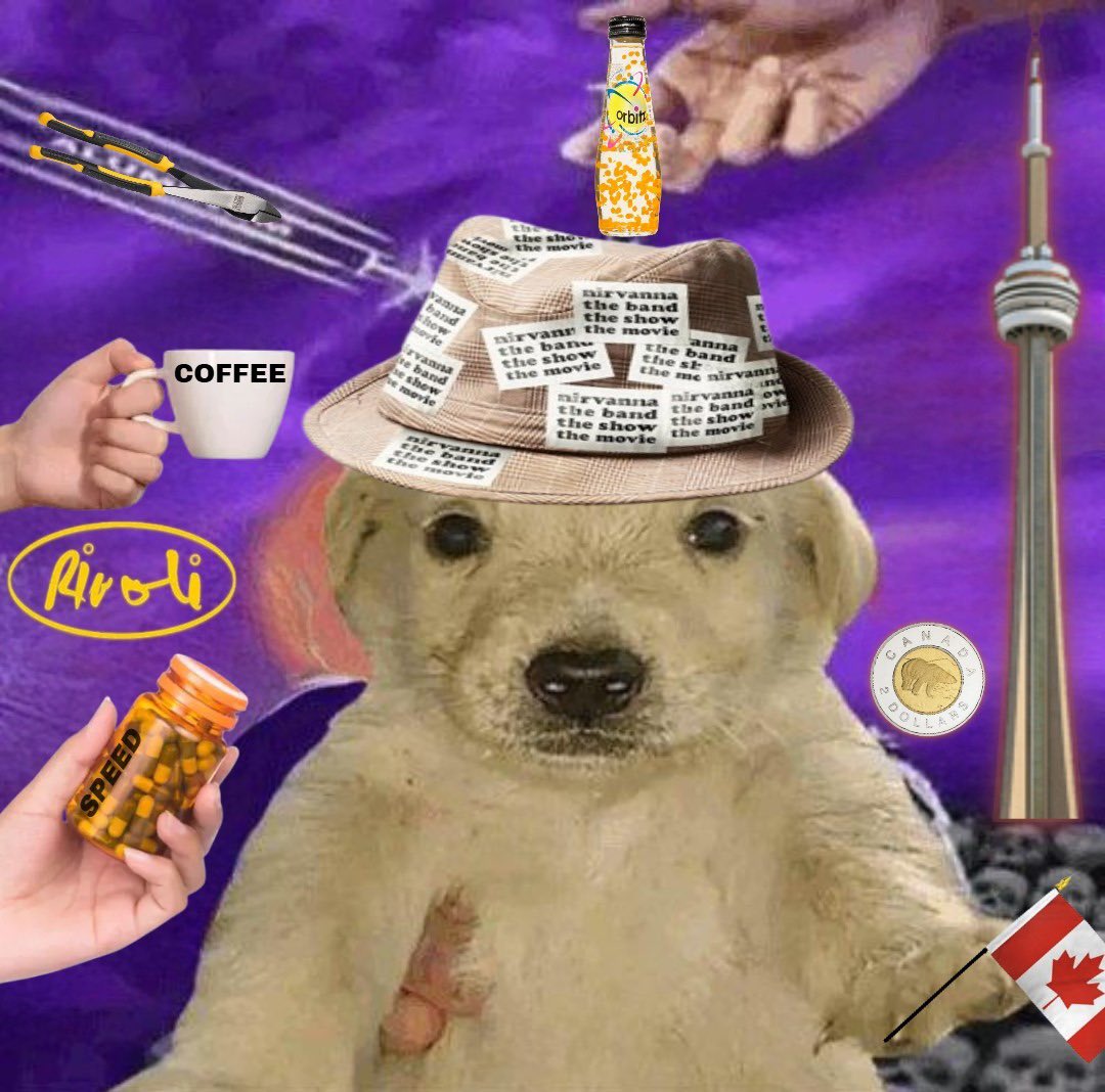 chmeesecaek tweet media