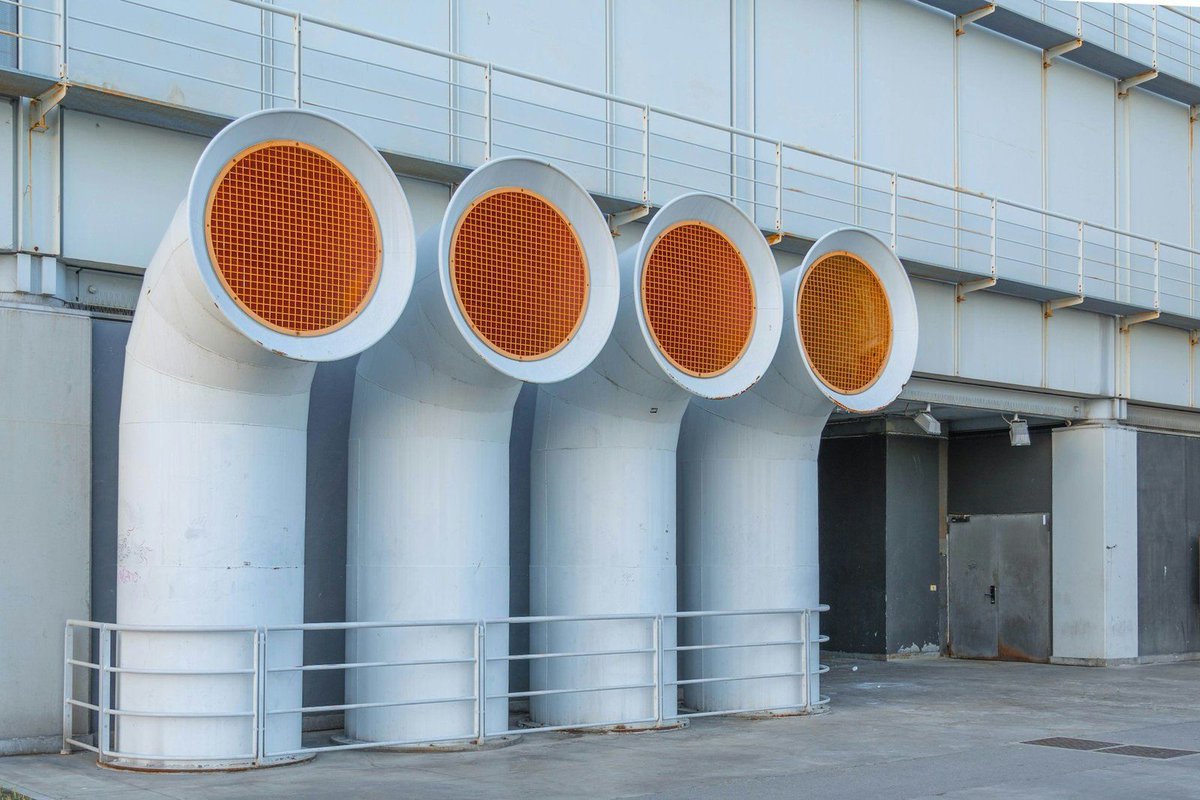 The Fox Magazine tweet media