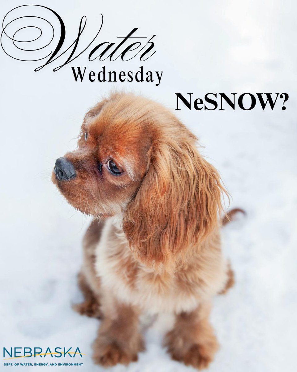 DWEE, Nebraska tweet media