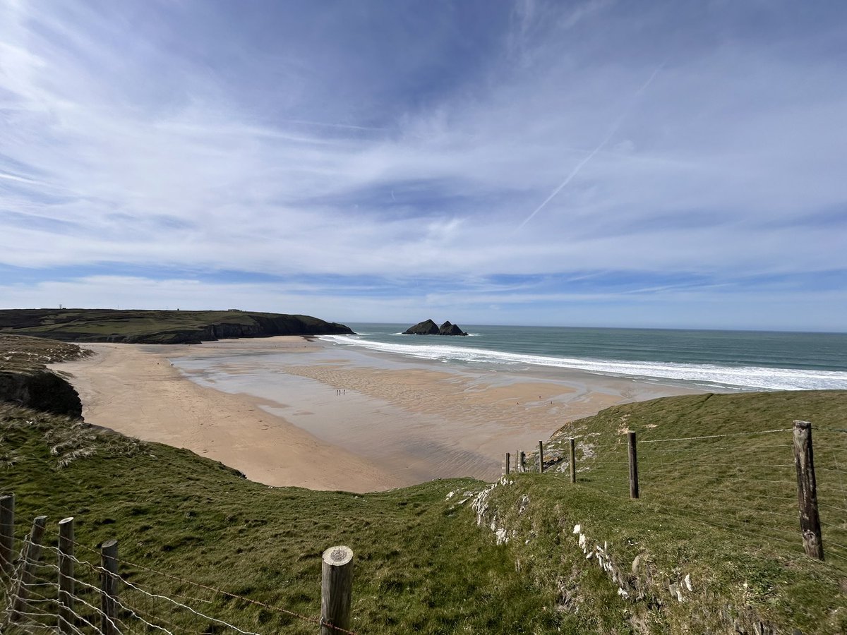 Ryan White tweet media