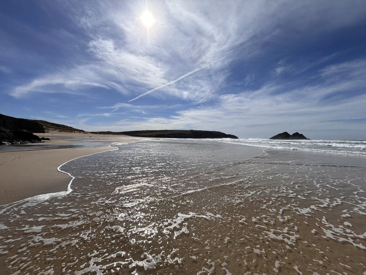 Ryan White tweet media