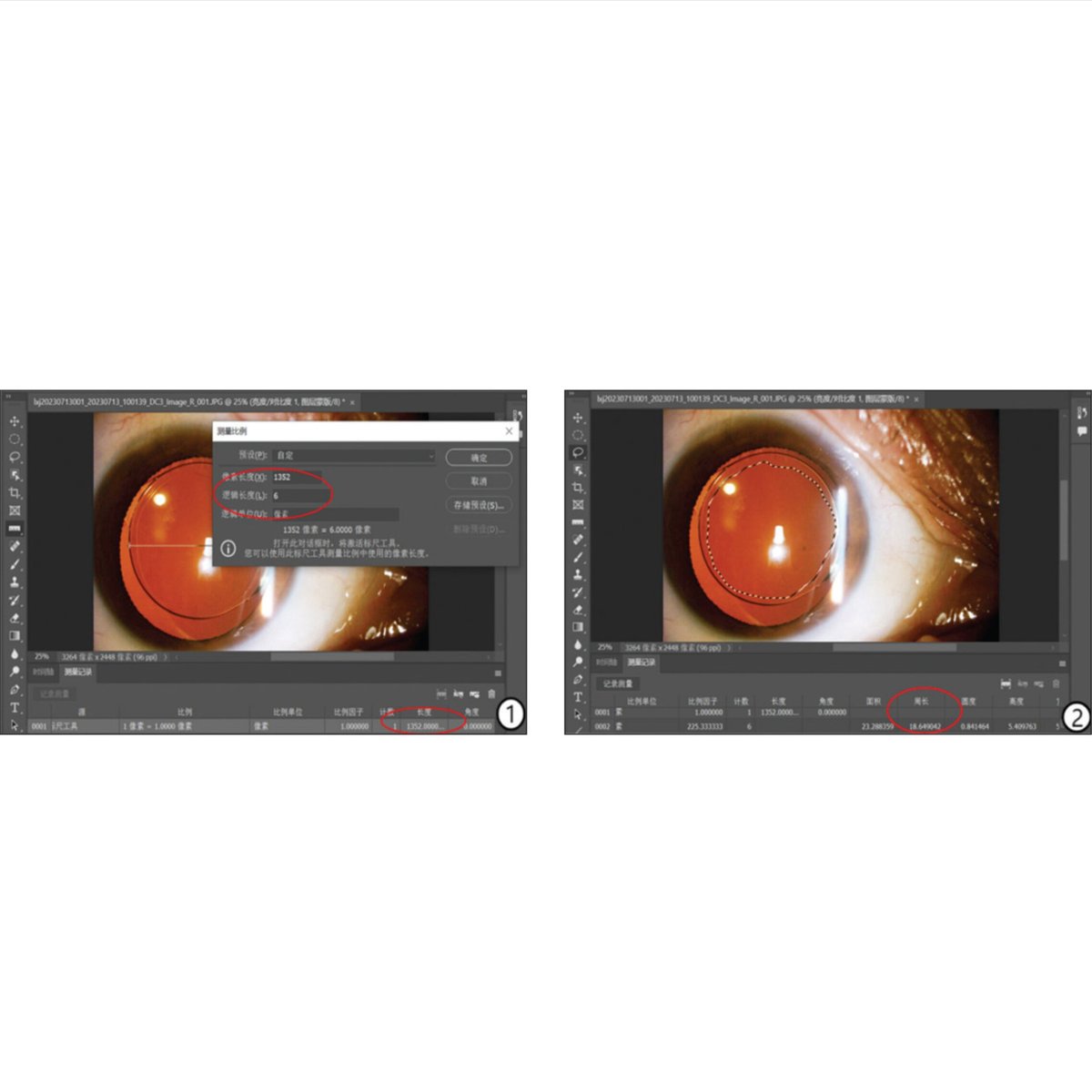 JRSJournal tweet media