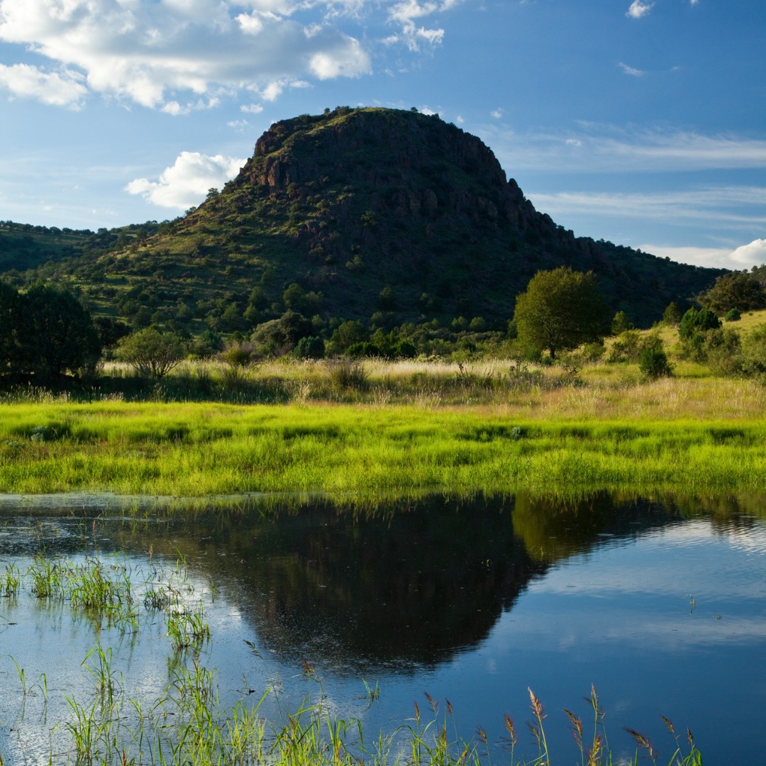 The Land Report tweet media