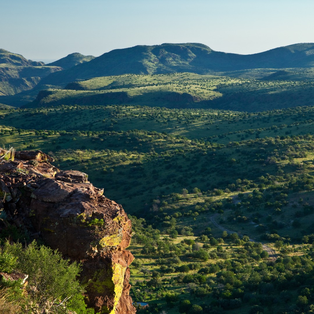 The Land Report tweet media