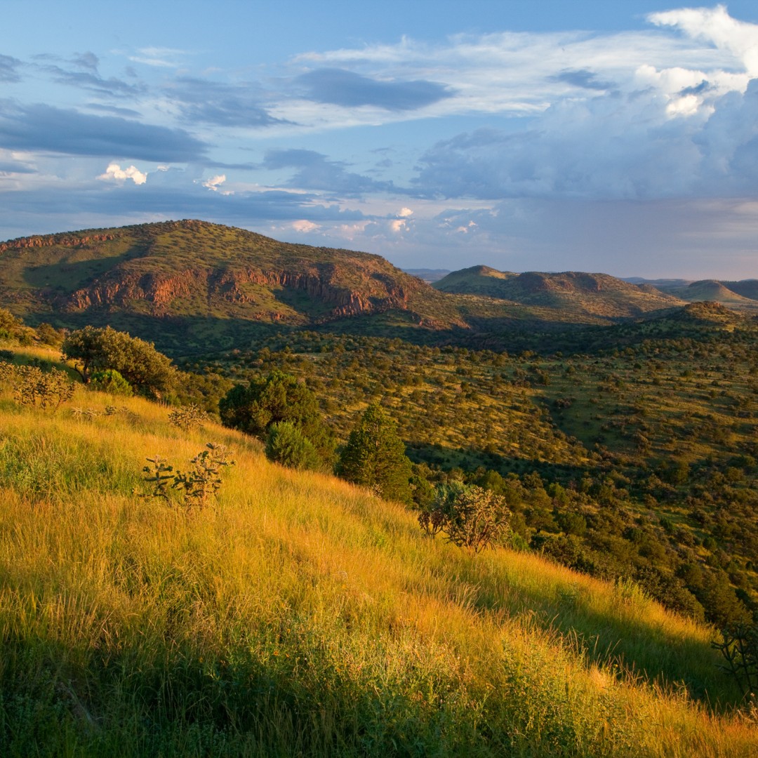 The Land Report tweet media