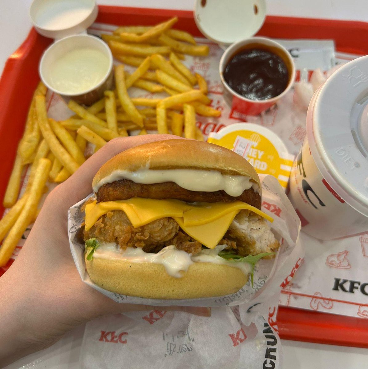 Özden Cankat tweet media