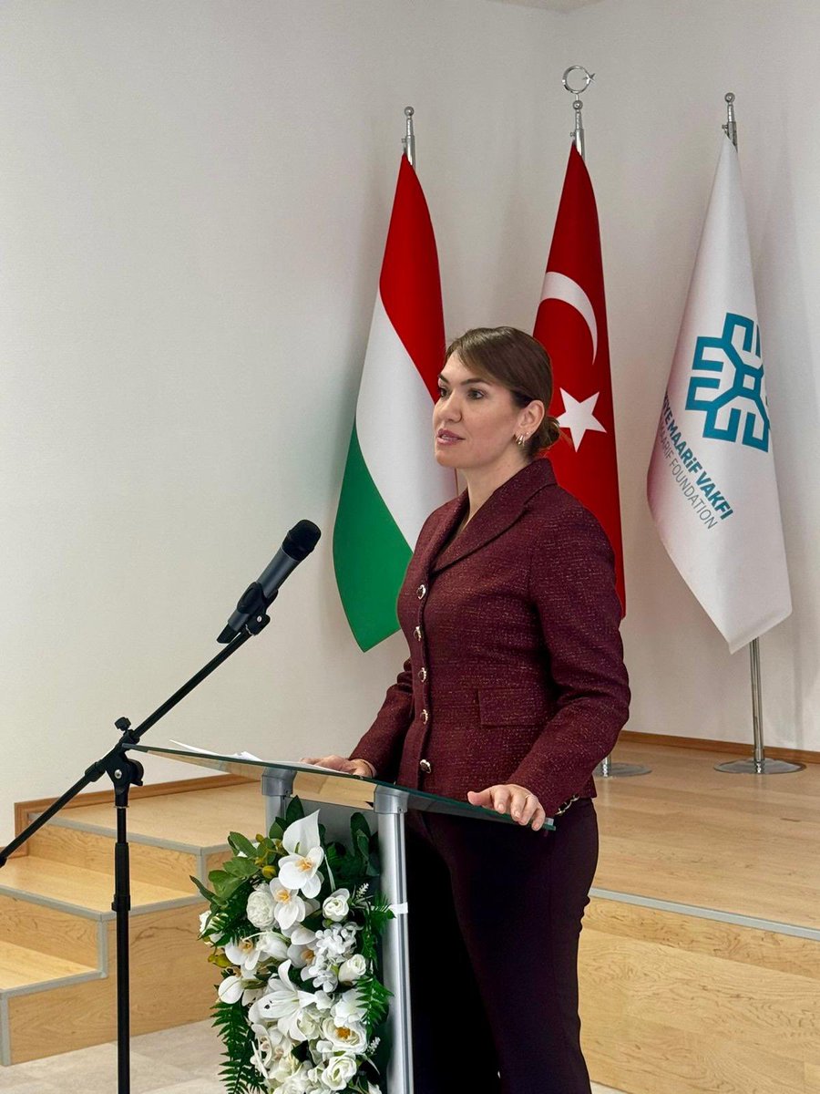 Türkiye in Hungary tweet media