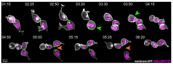 Physical Review E tweet media