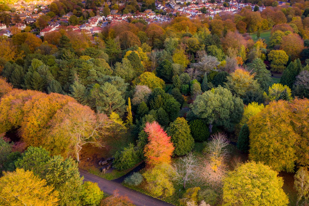Liverpool Parks tweet media