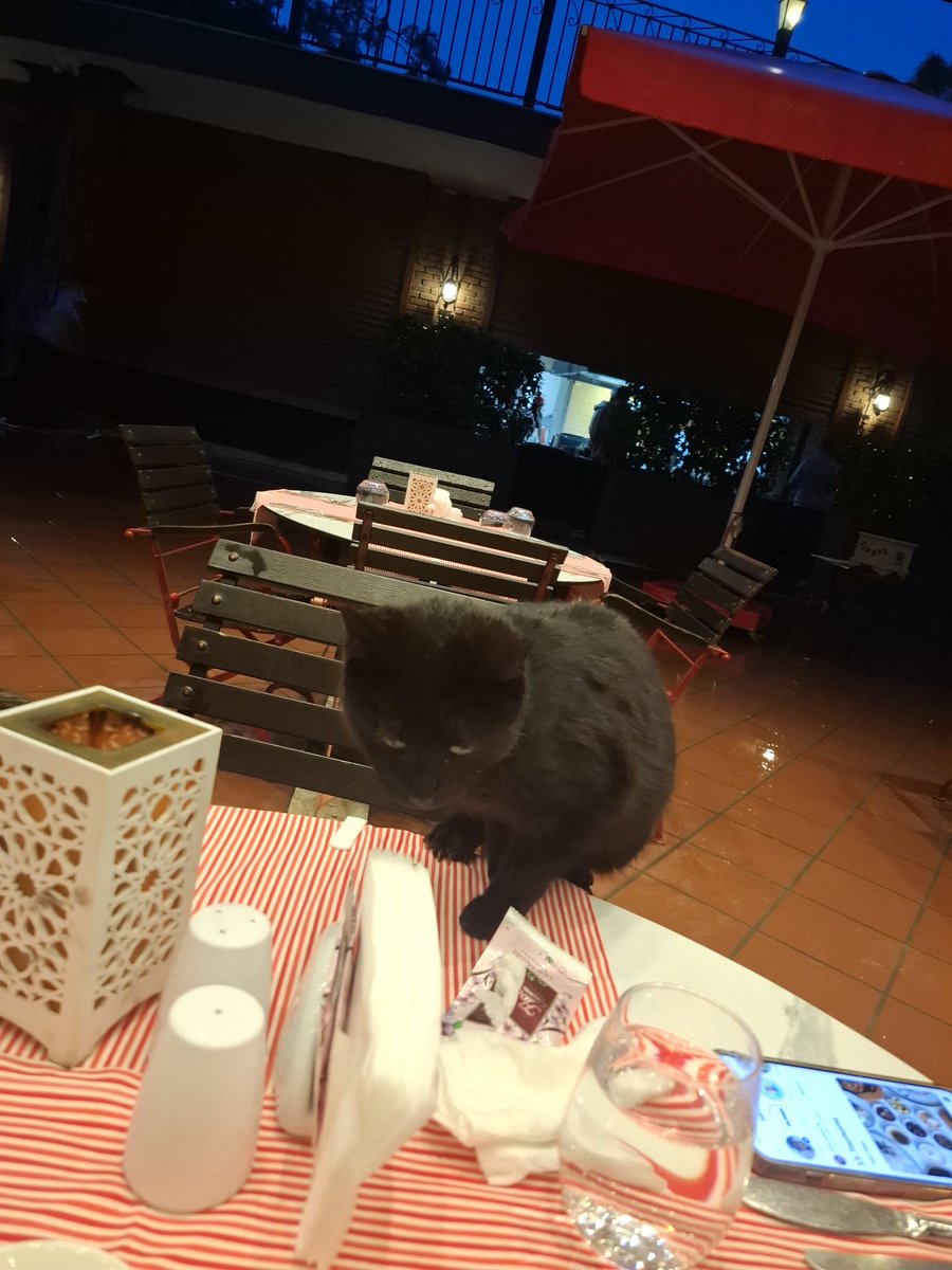 Cemile Gönülalan tweet media