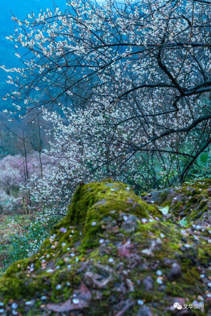 Betsat Güncel Giriş tweet media