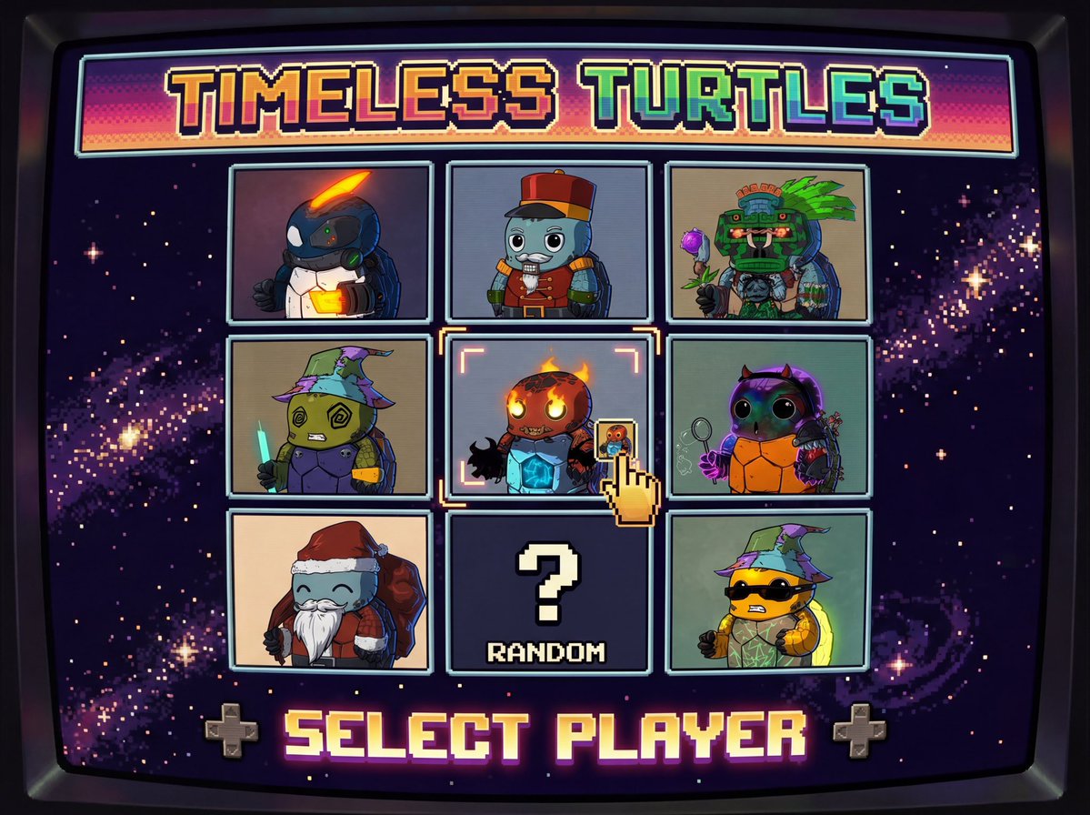 Timeless Turtles tweet media