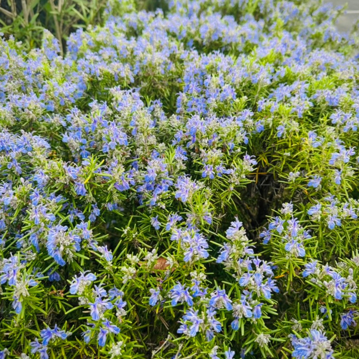 HydroPoint tweet media