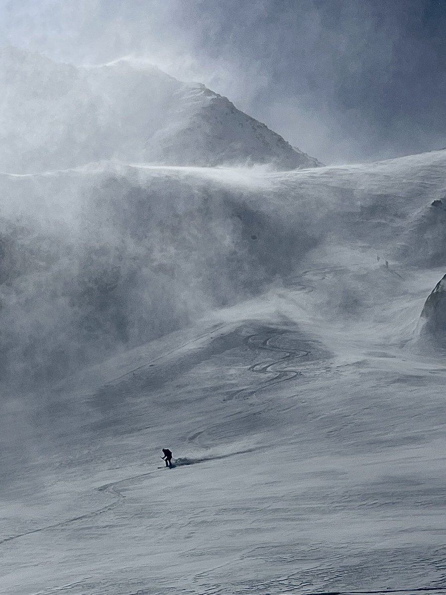 Mark Seaton tweet media