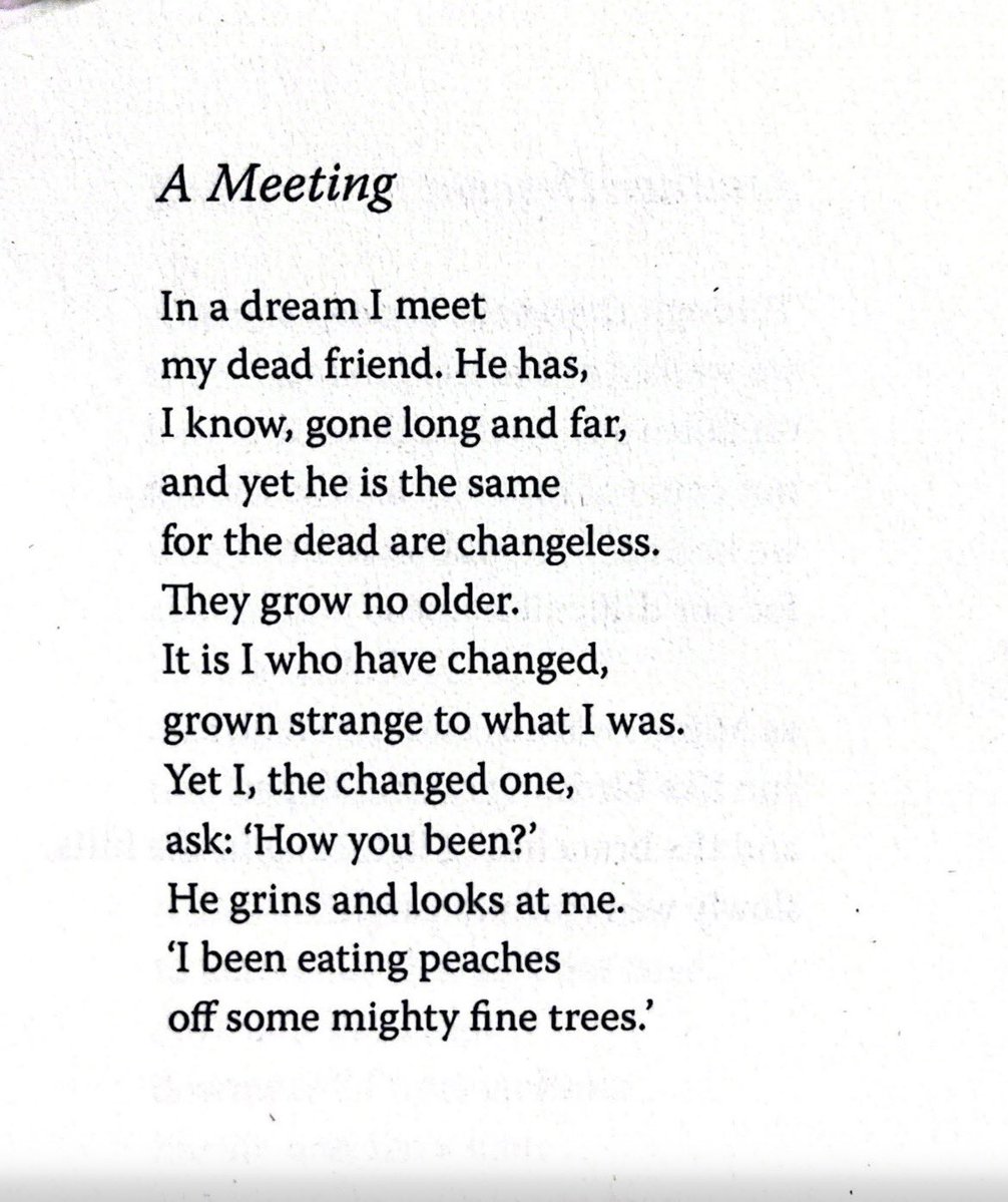 Sinéad Whelehan tweet media