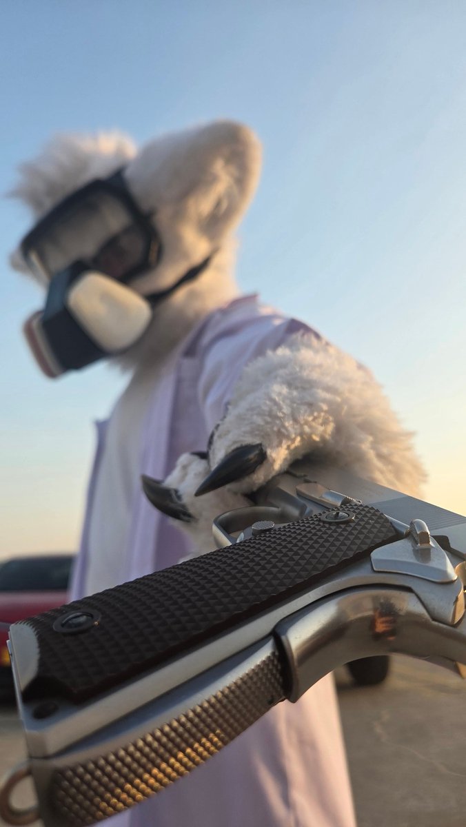 Klein Beere tweet media