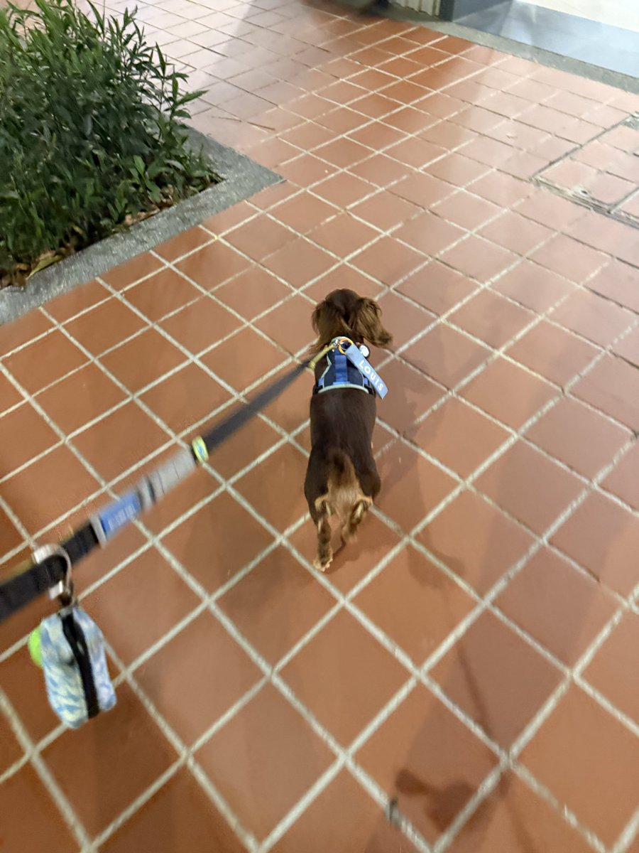 Fred Johns 🥔🥔 tweet media