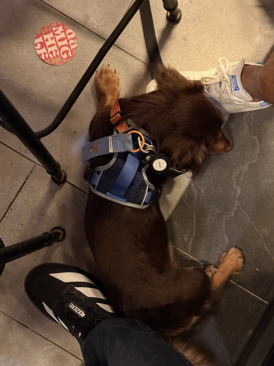 Fred Johns 🥔🥔 tweet media