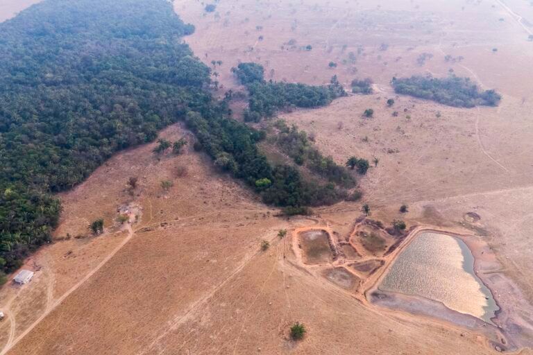 🌿🌱 Regenerative farming is a step in the right direction for Brazil, but the fight against deforestation is far from over. Our planet's lungs are being threatened - we must act now! #RegenerativeFarming #DeforestationAlert #AmazonRainforest #EcosystemsUnderThreat 🌍🌳🦜