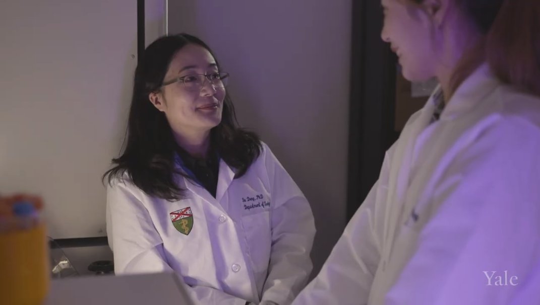 Yale Urology tweet media