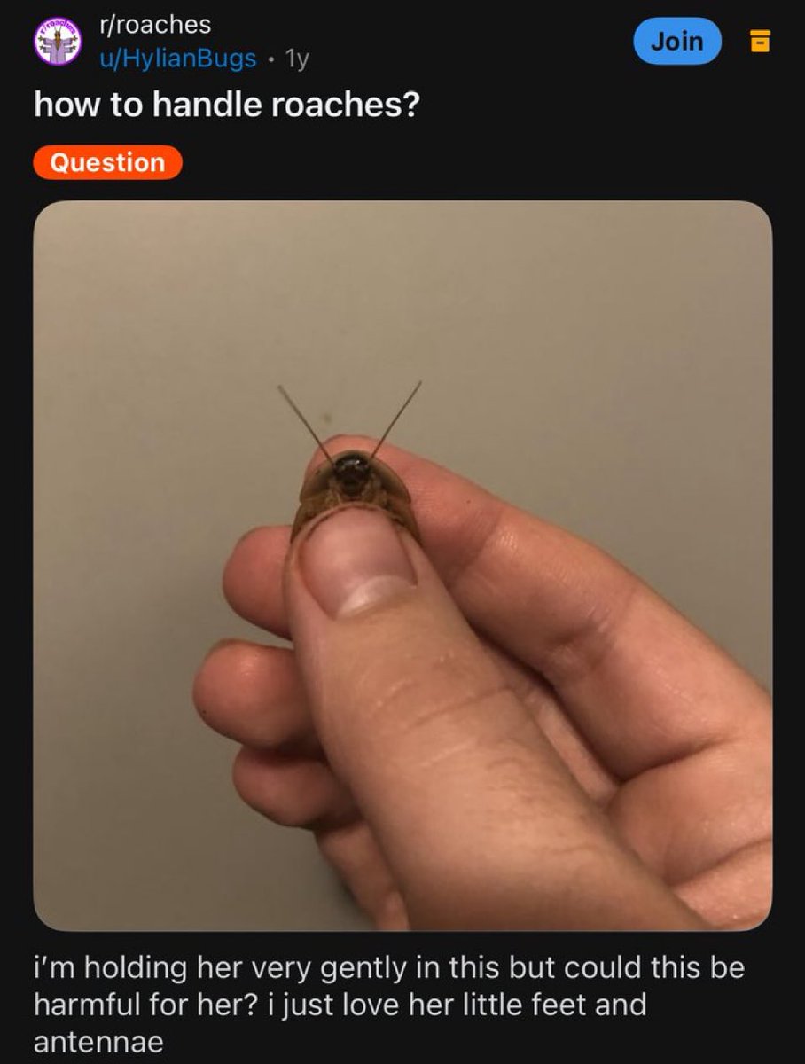 redditrepostss's tweet photo. https://t.co/APLLGzsvhS