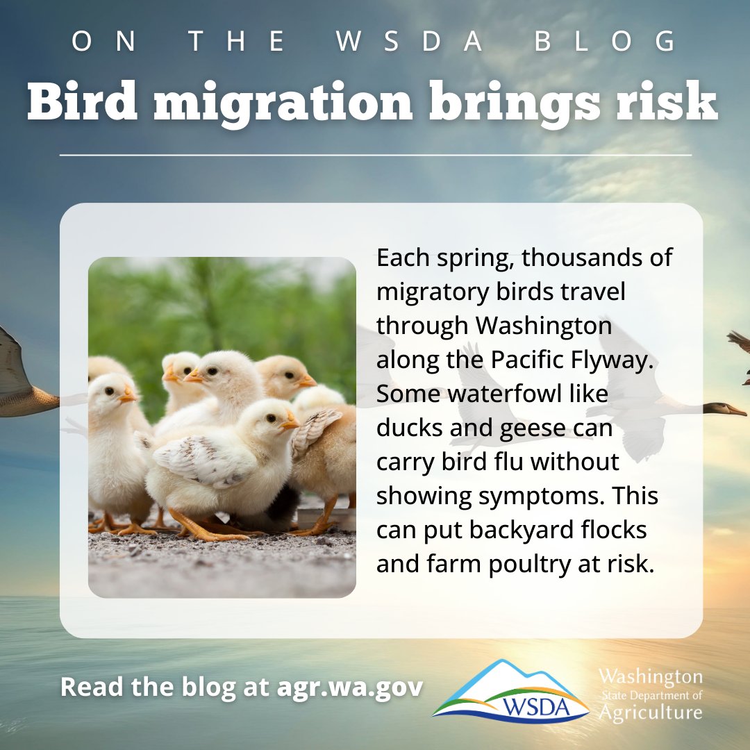 Washington State Department of Agriculture tweet media