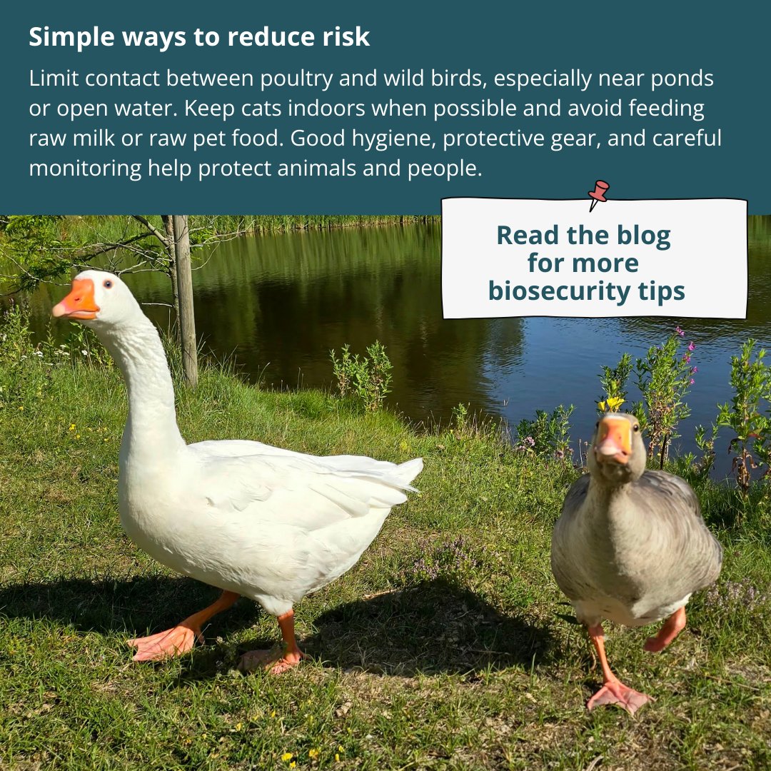 Washington State Department of Agriculture tweet media