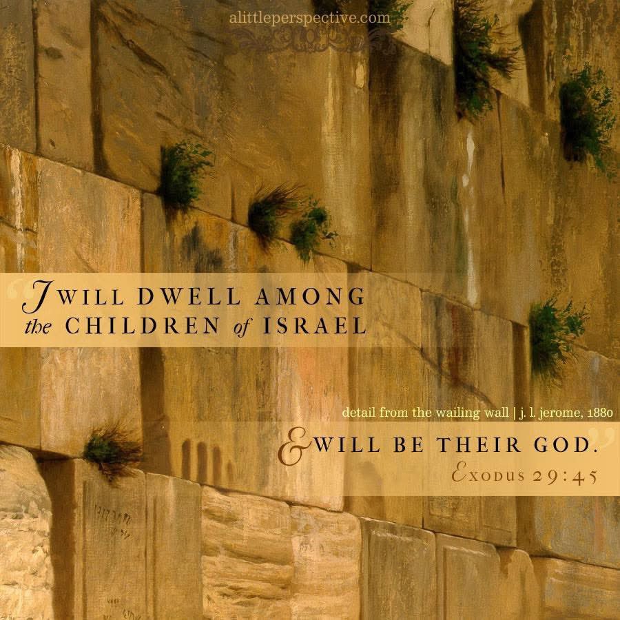 Jim Suttle tweet media