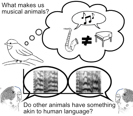 Marisa Hoeschele tweet media