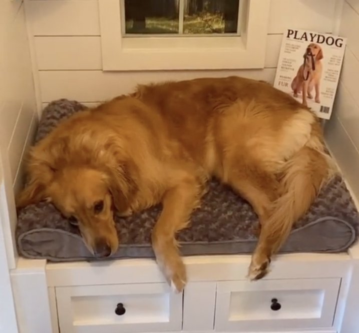 onahillfaraway5 tweet media