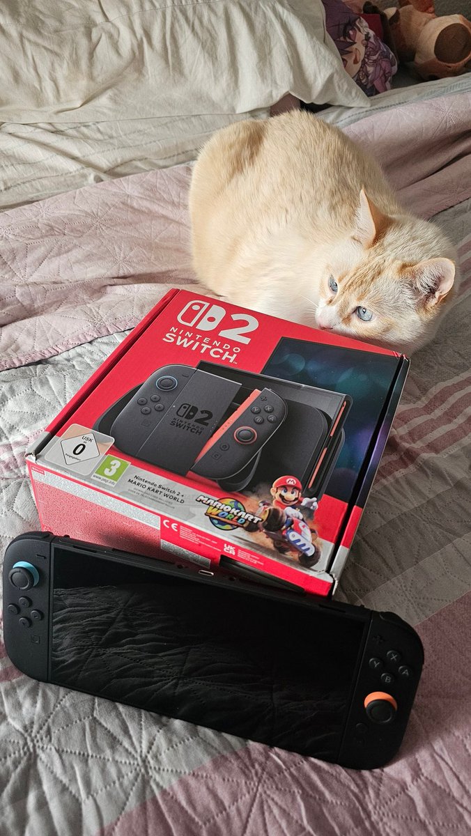 Davo ✨️ tweet media