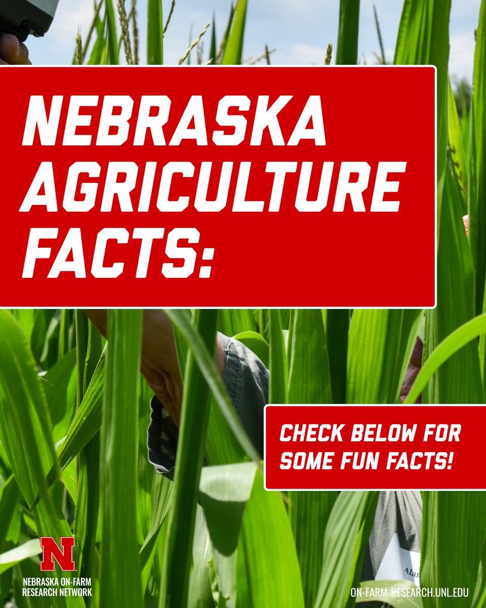 NE On-Farm Research tweet media