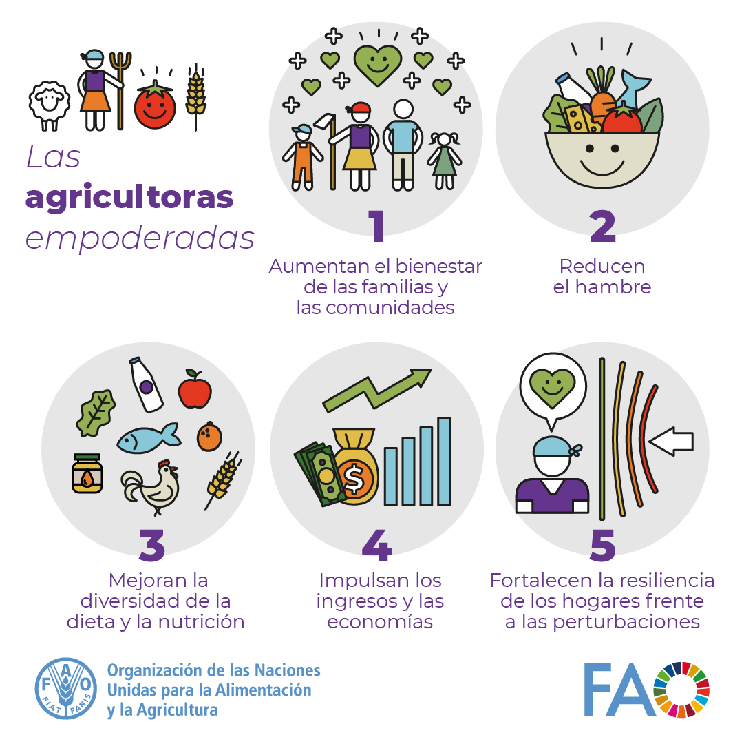 FAO en Uruguay tweet media