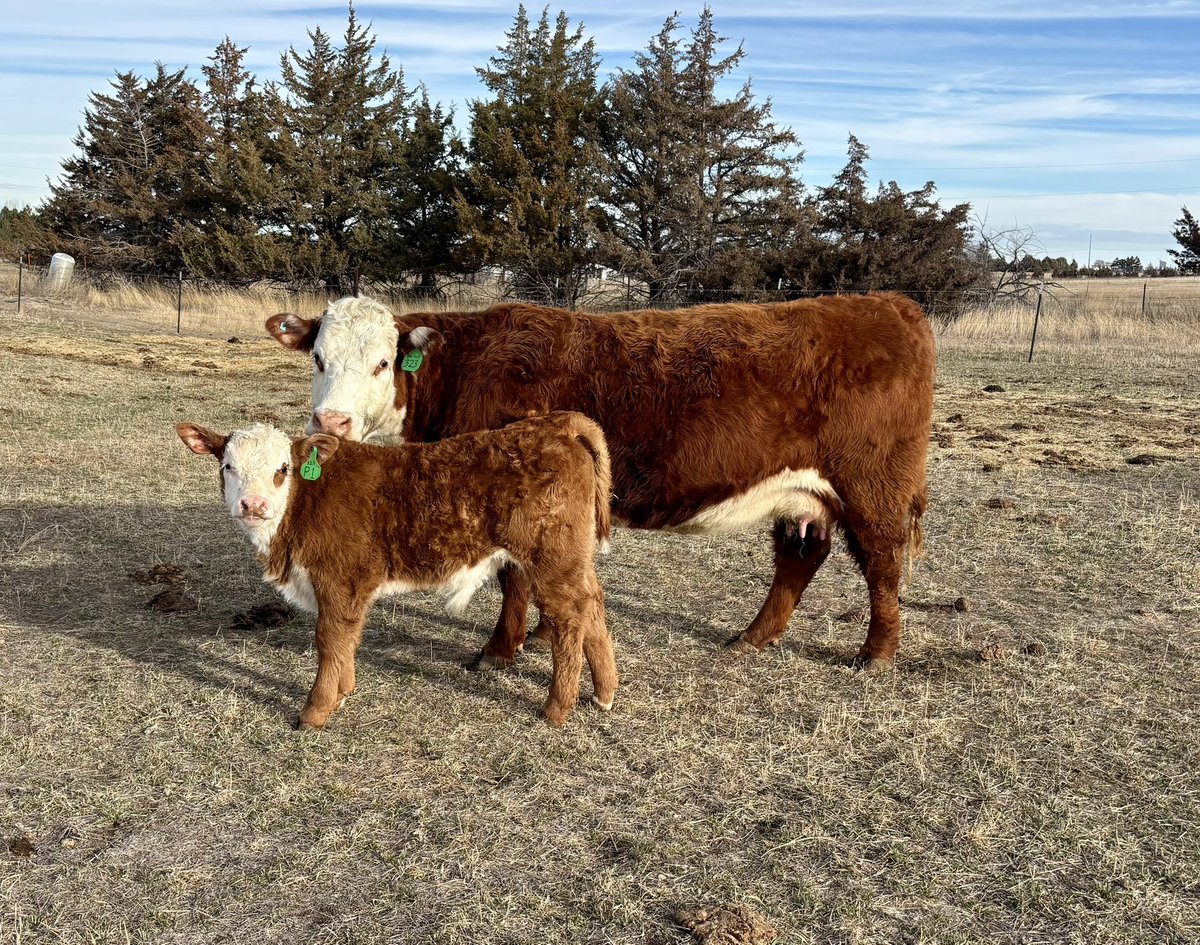 Cody Gerlach tweet media