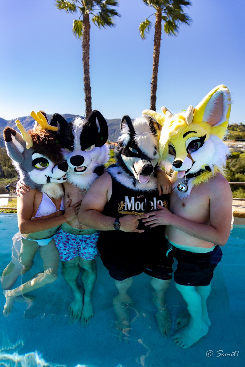 rev 𐂂 🔜 LVFC tweet media