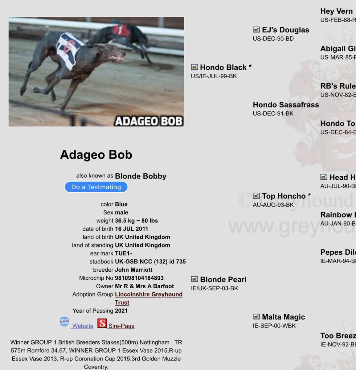 LiviNoble tweet media