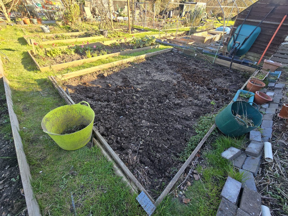 katerina7711's tweet image. Bella joined me at the #allotment today. Glad she didn't notice the #goldfish.
Another #plot #dug ready for planting. Now to decide what to grow! #growyourown #gardening #blankcanvas #spring