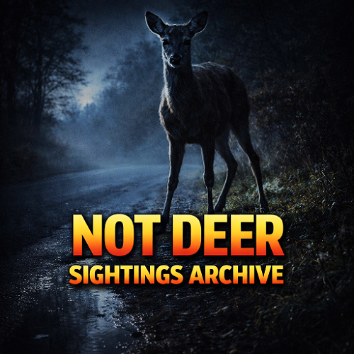 Phantoms & Monsters tweet media