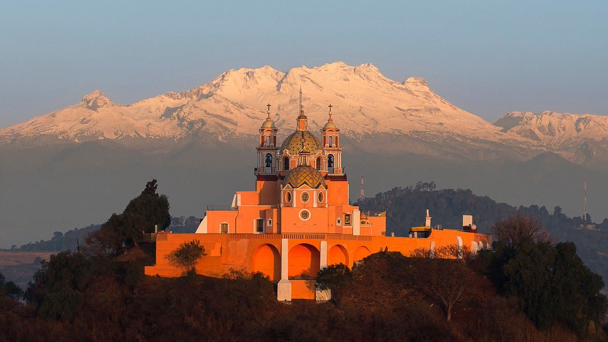 Tonantzin Fernández tweet media